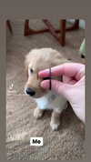 emily_new2 Altpins Profile Picture
