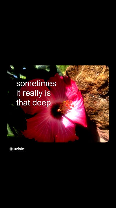 alexalizzz alexalizzz archive video