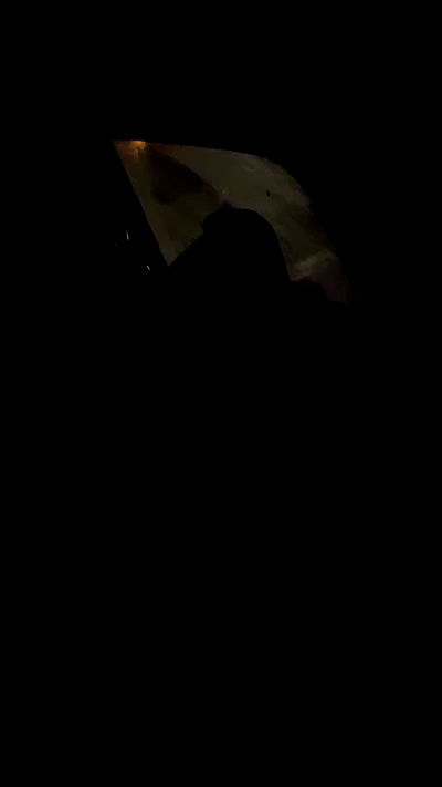 noa_zemlyanski noa_zemlyanski archive video