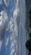 beth.sharonu Altpins Profile Picture
