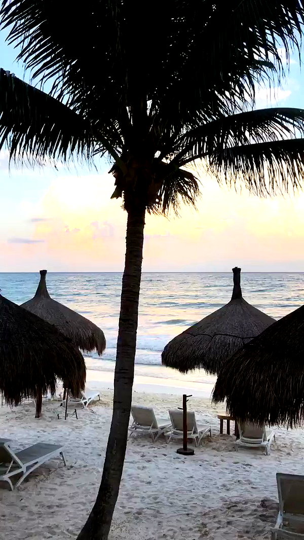noa_mendel_ archive video preview