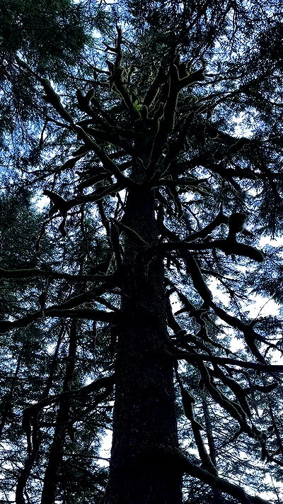 sedonaskyxo sedonaskyxo archive video