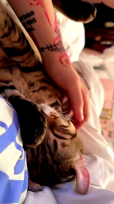 laurinchhhe laurinchhhe archive video