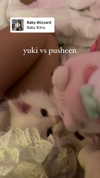 ifkissescouldleavecuts Altpins Profile Picture