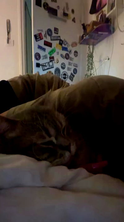 natalllluli natalllluli archive video