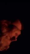 littlechurchdoll Altpins Profile Picture