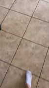 jailyneojeda Altpins Profile Picture