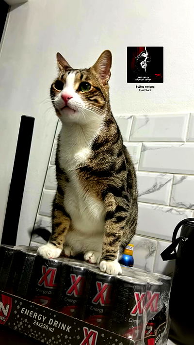 lila.garnik lila.garnik archive video