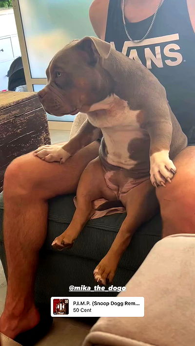 kesemgreenyer kesemgreenyer archive video