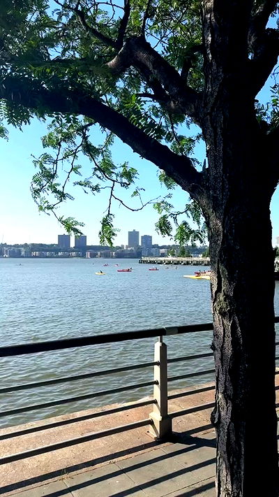 biton__adi biton__adi archive video