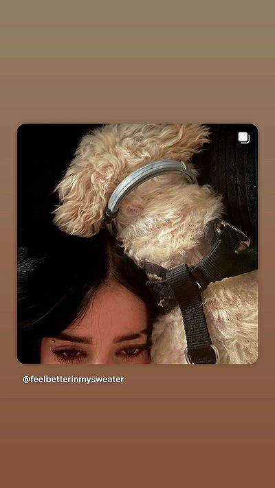 feelbetterinmysweater feelbetterinmysweater archive video