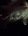 amellliiaa Altpins Profile Picture