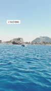 anya_shtril Altpins Profile Picture