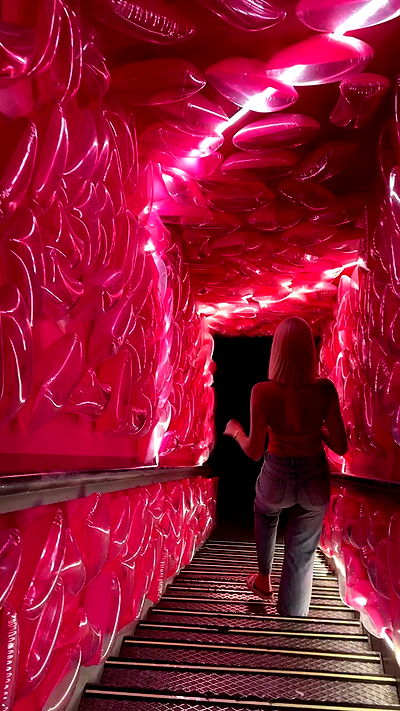 diana_polin diana_polin archive video