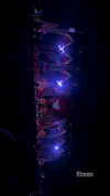 taliah.wilson Altpins Profile Picture