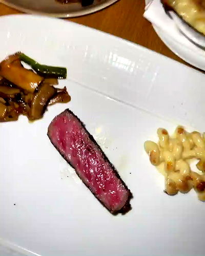 carolinezalog carolinezalog archive video