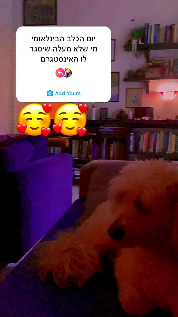 feelbetterinmysweater archive video preview