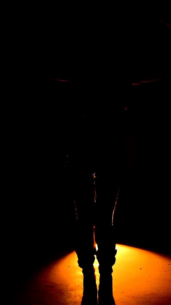 tiliaoficial archive video preview