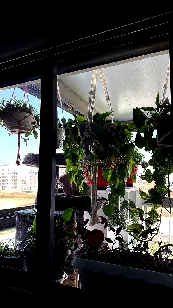 dustheadd archive video preview