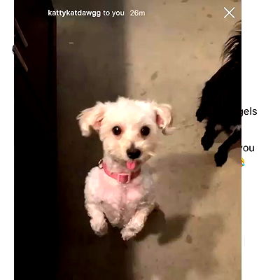 miakhalifa miakhalifa archive video