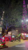 shelly_roberin Altpins Profile Picture