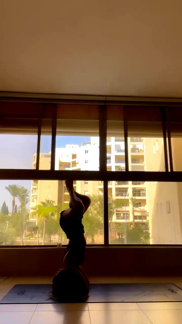 liad.arazi archive video preview