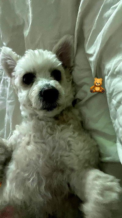 feelbetterinmysweater feelbetterinmysweater archive video