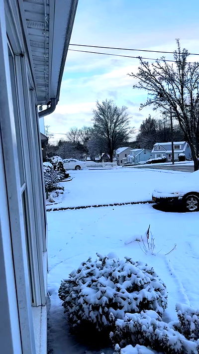 biton__adi biton__adi archive video