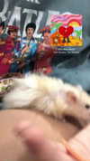 claudiagarmaa Altpins Profile Picture