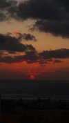 rommy_banouz Altpins Profile Picture