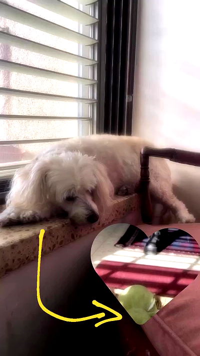 feelbetterinmysweater feelbetterinmysweater archive video