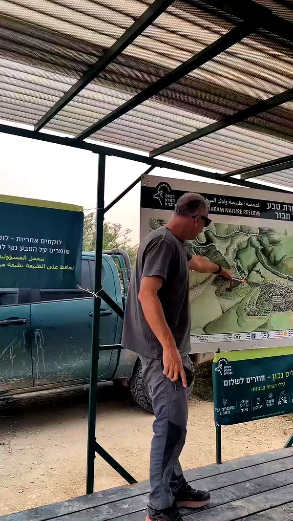 tinapavlov.sky archive video preview