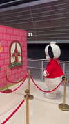 candy_balll Altpins Profile Picture