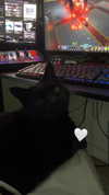 blairvira Altpins Profile Picture