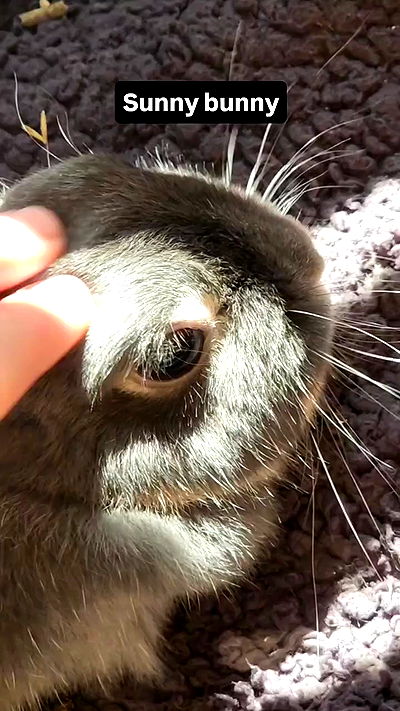 daniella_koosit daniella_koosit archive video