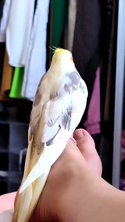 tinapavlov.sky tinapavlov.sky archive video