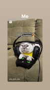 olivialiiias Altpins Profile Picture