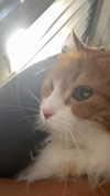 iljfgigi Altpins Profile Picture