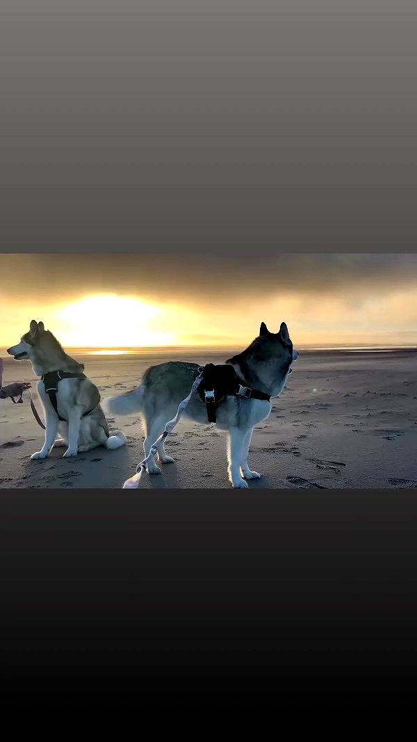 astarwbry_ archive video preview
