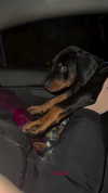 miss_baby007 Altpins Profile Picture