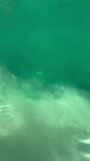 emelyeender Altpins Profile Picture