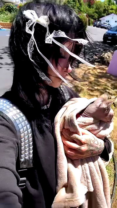 zommmbri zommmbri archive video