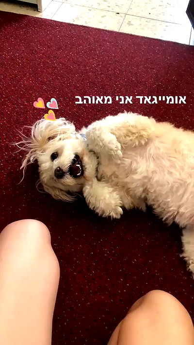 feelbetterinmysweater feelbetterinmysweater archive video