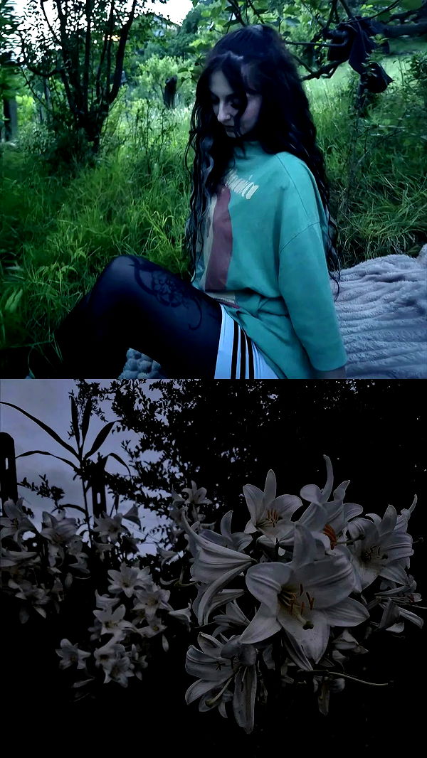 aekamee archive video preview