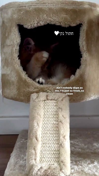 itsilanosh itsilanosh archive video