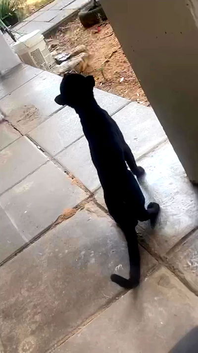 xzot1_met4xx xzot1_met4xx archive video