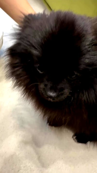 ninja.vi ninja.vi archive video