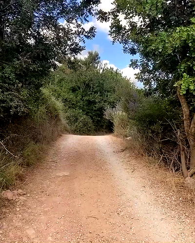 feelbetterinmysweater feelbetterinmysweater archive video