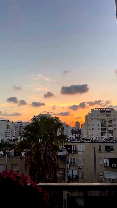 kesemgreenyer kesemgreenyer archive video