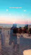 noa_mendel_ Altpins Profile Picture